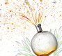 Eau des Merveilles Perfume