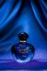 Midnight Poison Perfume