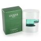 Guess Men Cologne