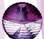 Private Perfume