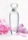 Pleasures Perfume