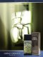 Carlo Corinto Cologne