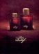 Zino Cologne