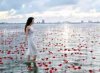 Flower By Kenzo Perfume