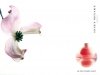 Le Feu D'Issey Light Perfume