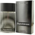 Zegna Intenso Cologne